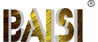 BAISI HAIR